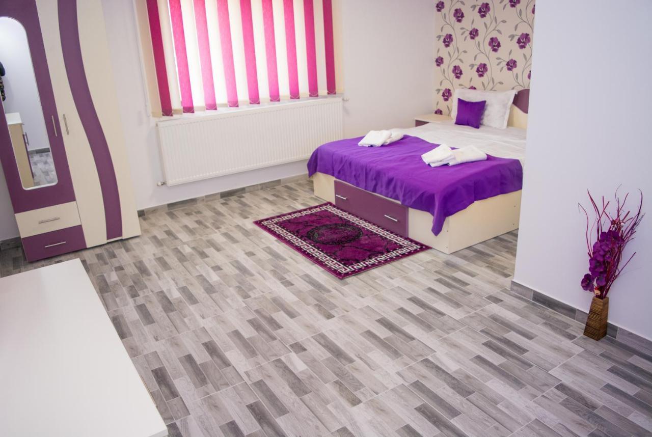 Casa Erk Bed and Breakfast Călimăneşti Eksteriør billede