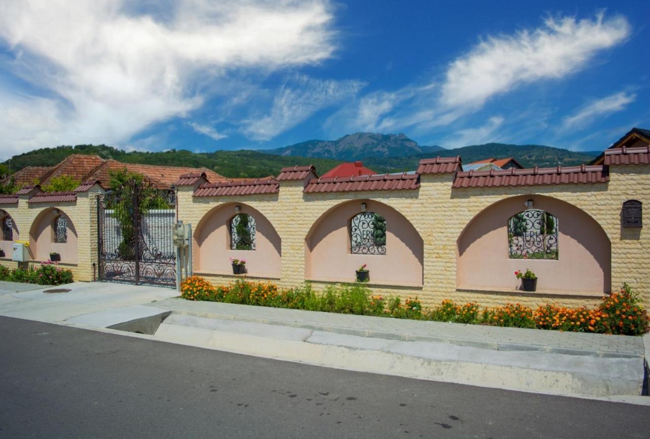 Casa Erk Bed and Breakfast Călimăneşti Eksteriør billede